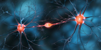 iStock 2150570035 neuron synapse