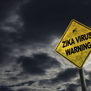 iStock 91844853 Zika Warning